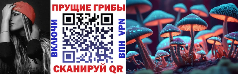 Псилоцибиновые грибы MAGIC MUSHROOMS Железноводск