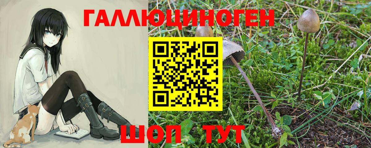 Железноводск  Псилоцибиновые грибы прущие грибы  Галлюциногенные грибы MAGIC MUSHROOMS  Вход с VPN 