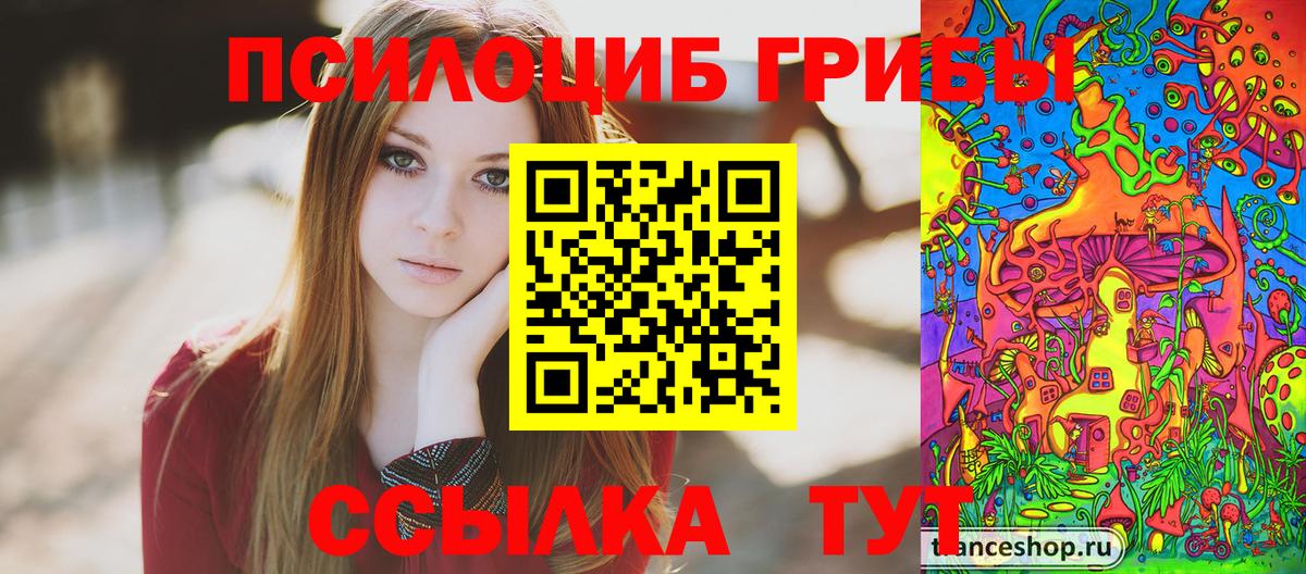 Псилоцибиновые грибы мицелий Железноводск